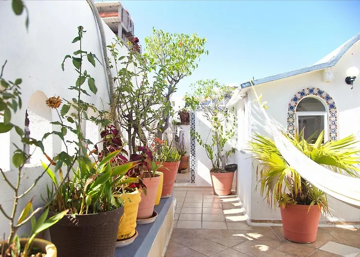 Alexandross Hostel